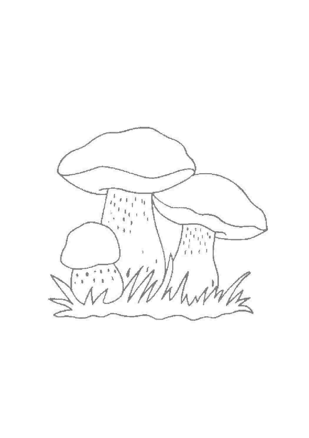 Раскраска Грибы