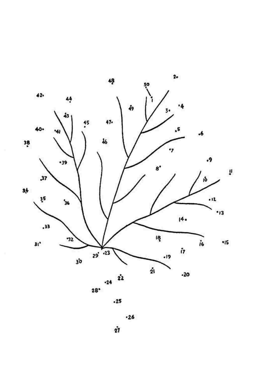 Рисунки после точки. Дерево по точкам. Рисунки по точкам. Дерево по точкам для дошкольников. Раскраска дерево по точкам.