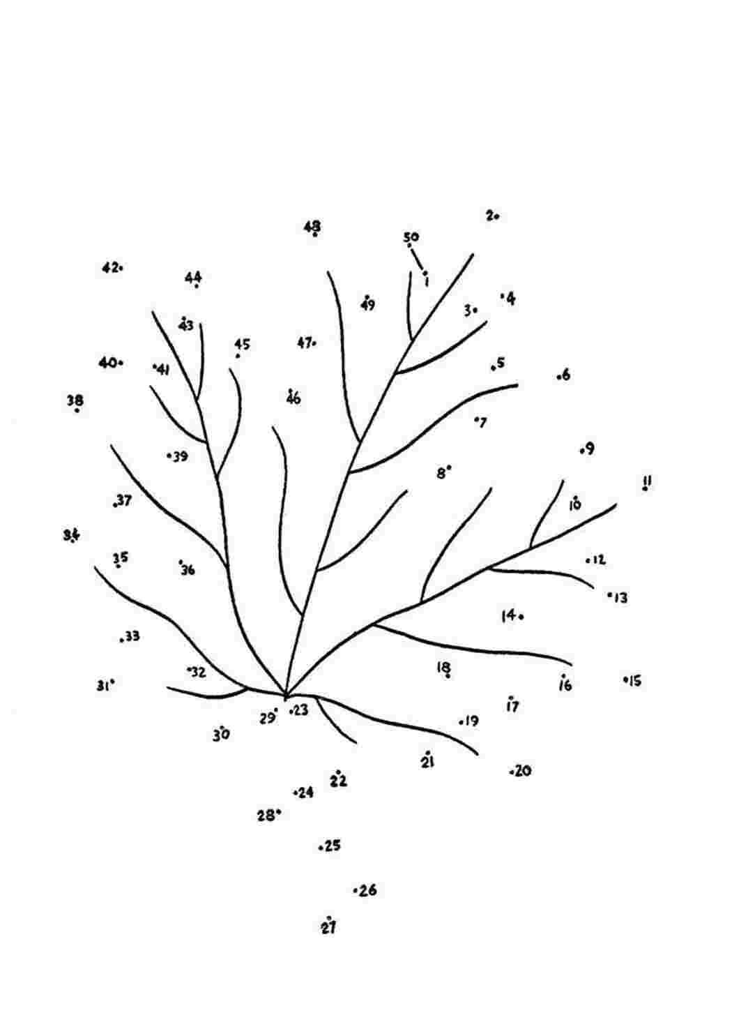 Точки дерева. Дерево по точкам. Рисование по точкам дерево. Соединить по цифрам дерево. Дерево по точкам для детей.