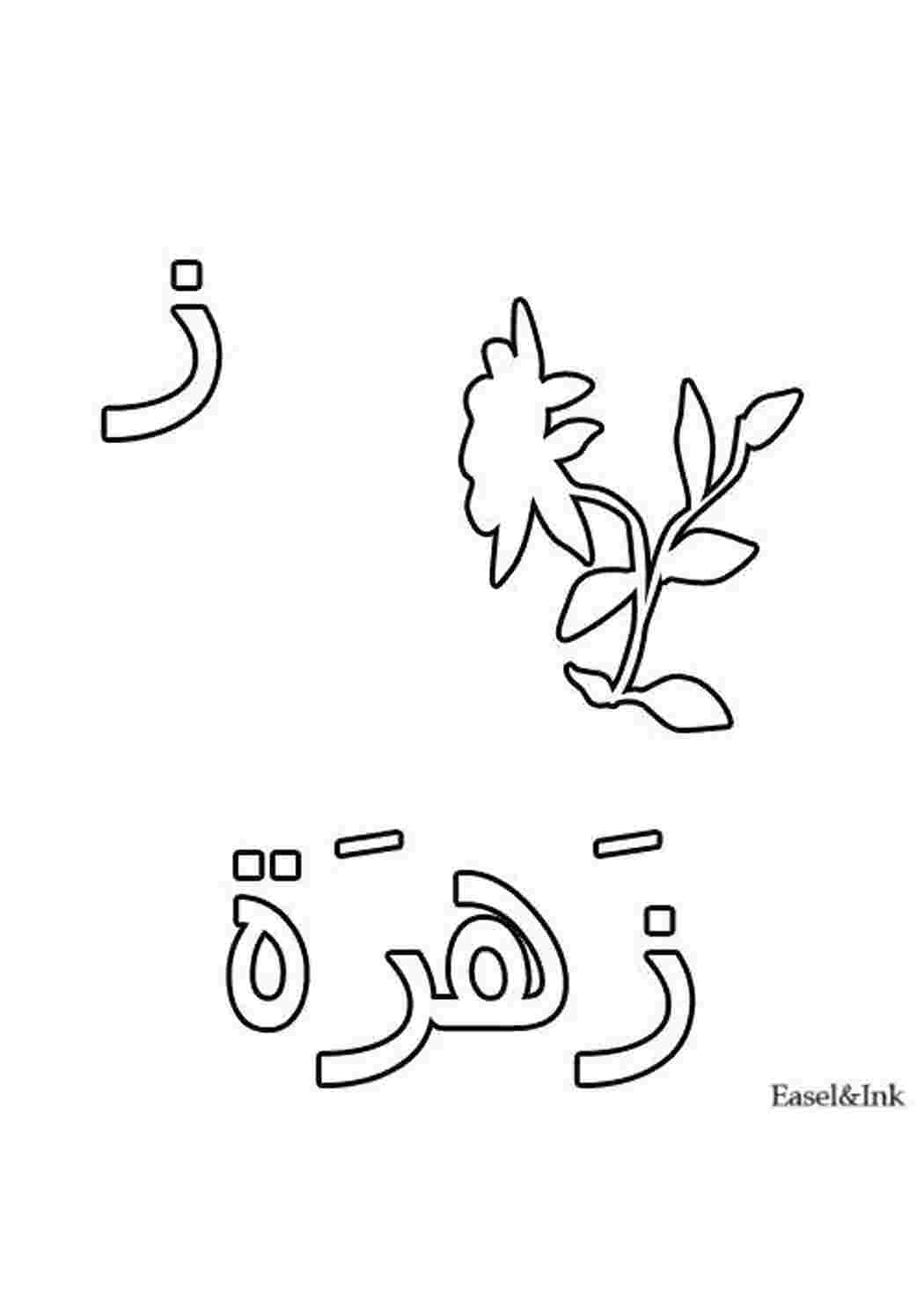 Раскраска Цветок