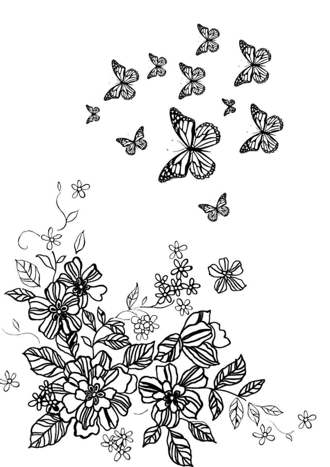 Композиция с бабочками раскраски для детей