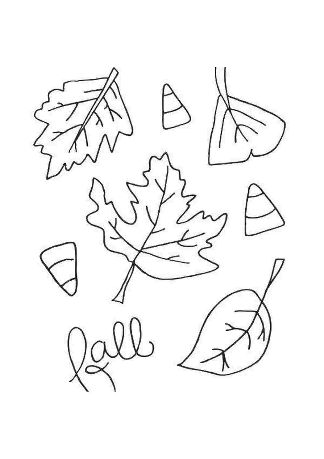 Листья деревьев для дошкольников