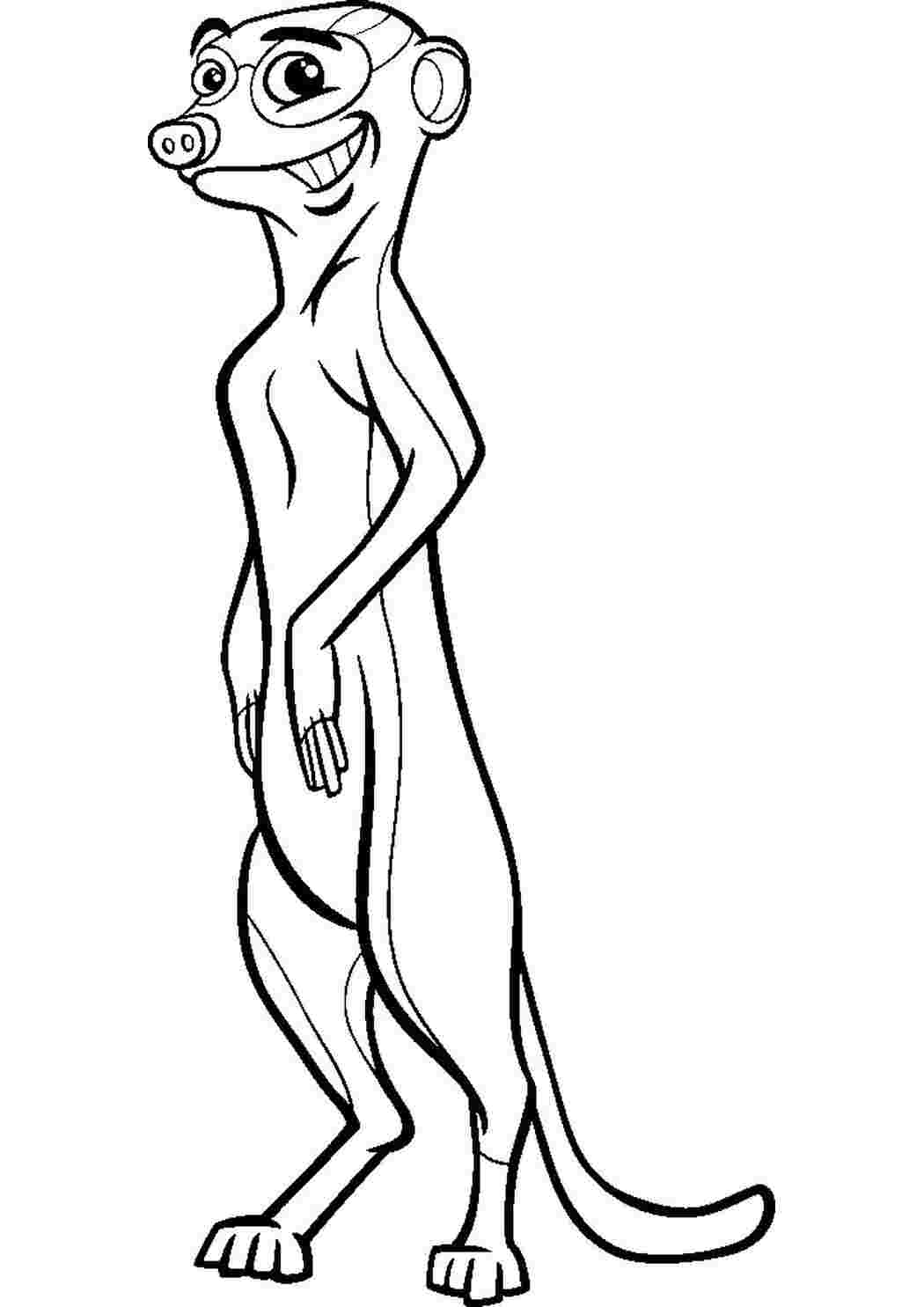Раскраска Сурикаты стоят на задних лапках