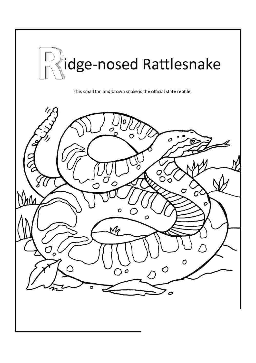 Раскраска Змея