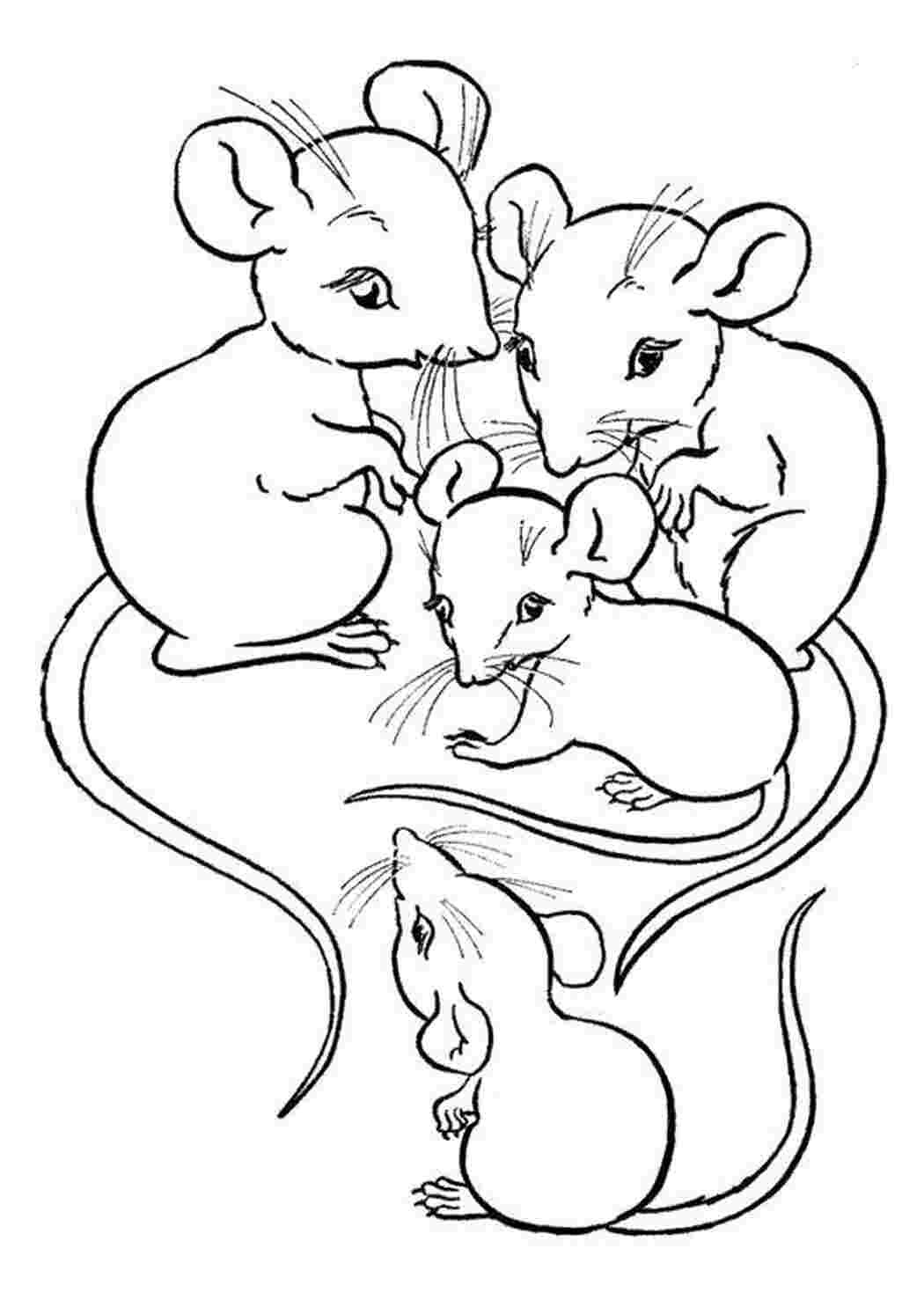 Раскраска Мышата