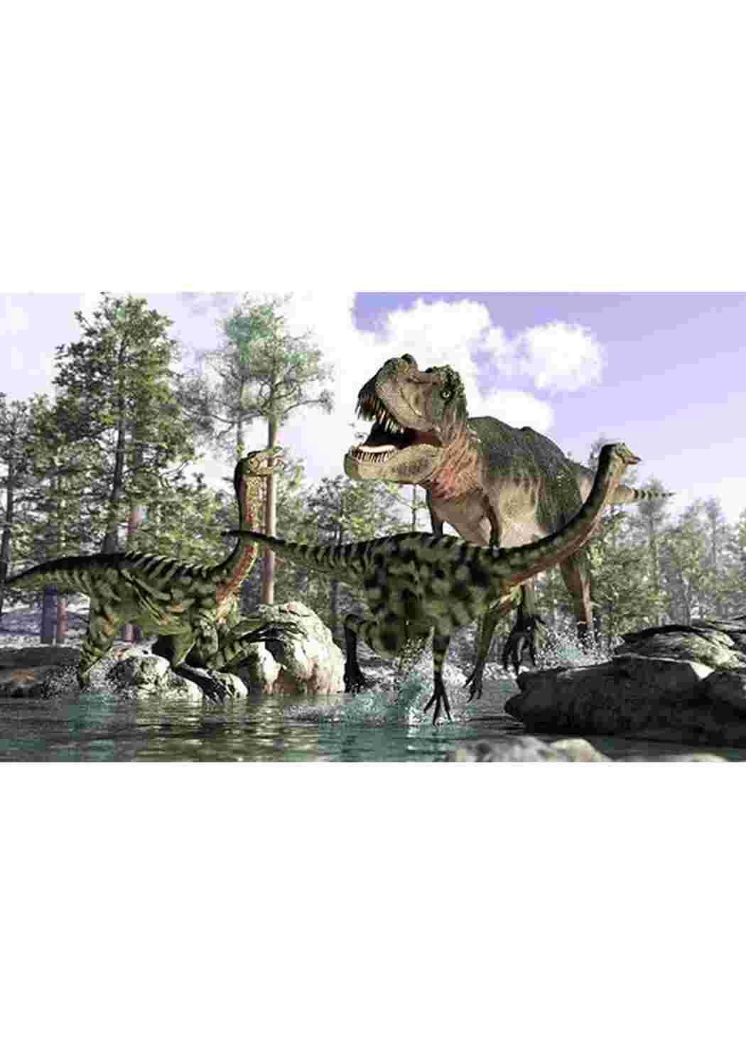 Раскраска динозавры большие разных видов динозавры