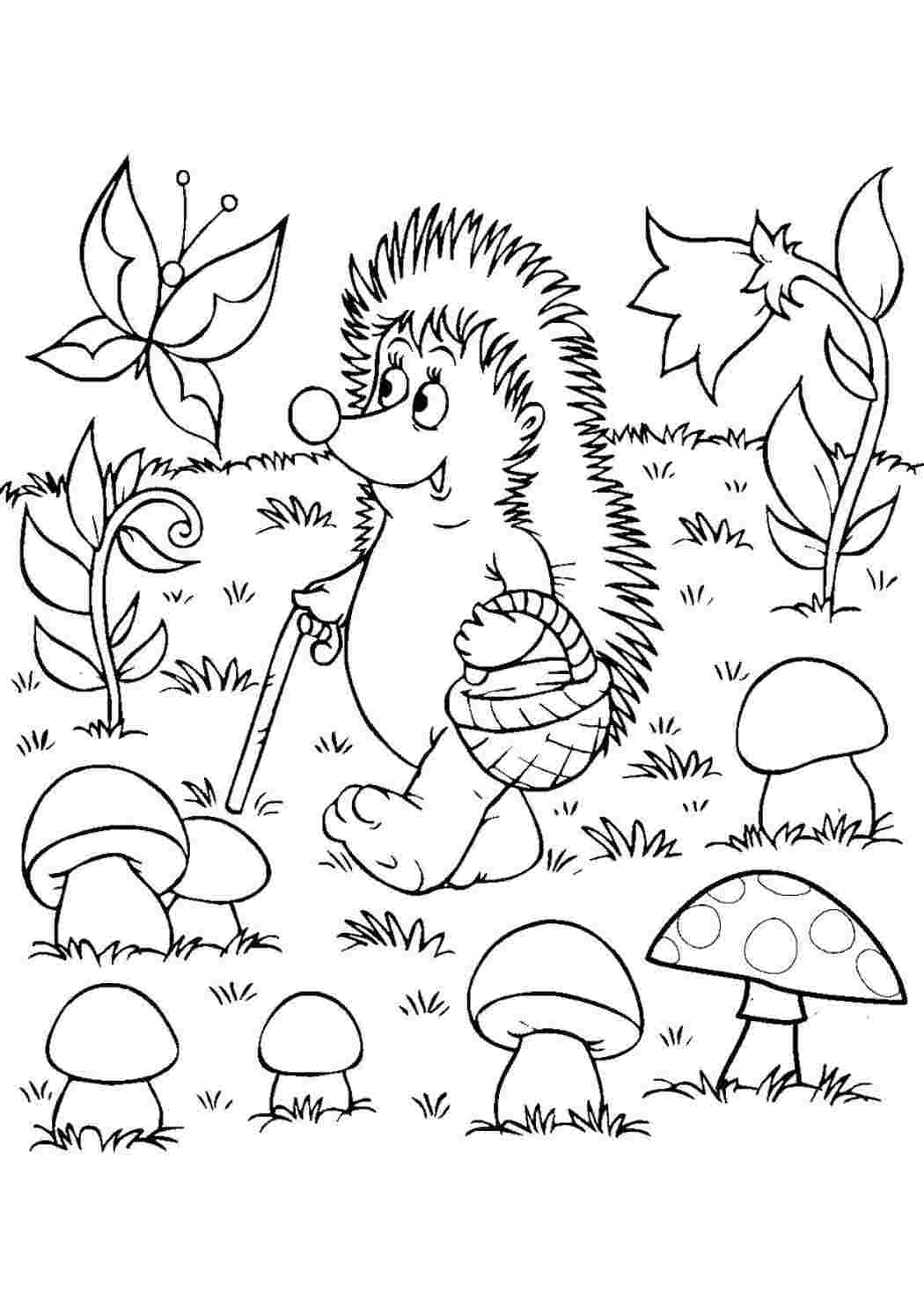Раскраска Ежик идет за грибами