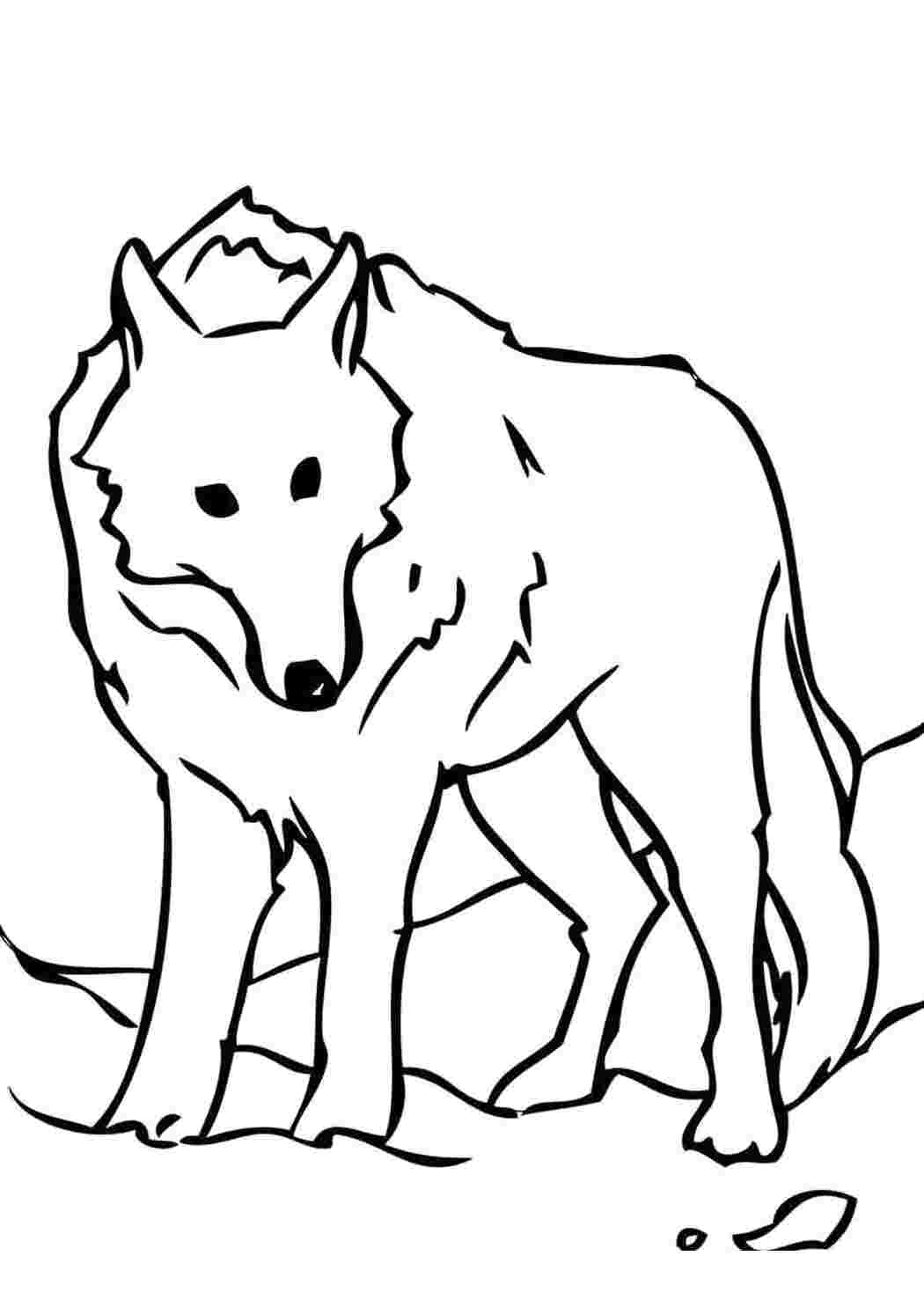 Раскраска Волчок