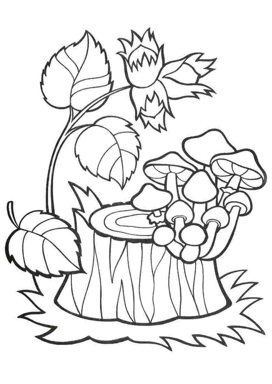 Раскраска Грибы на пеньке