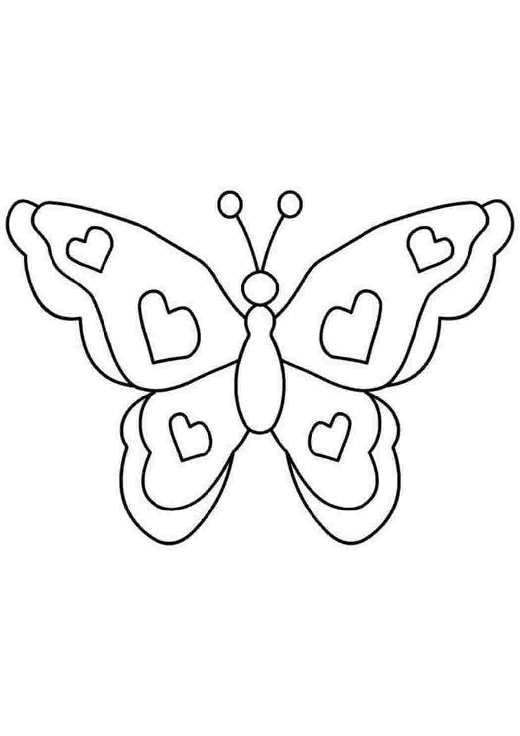 Бабочка трафарет для раскрашивания