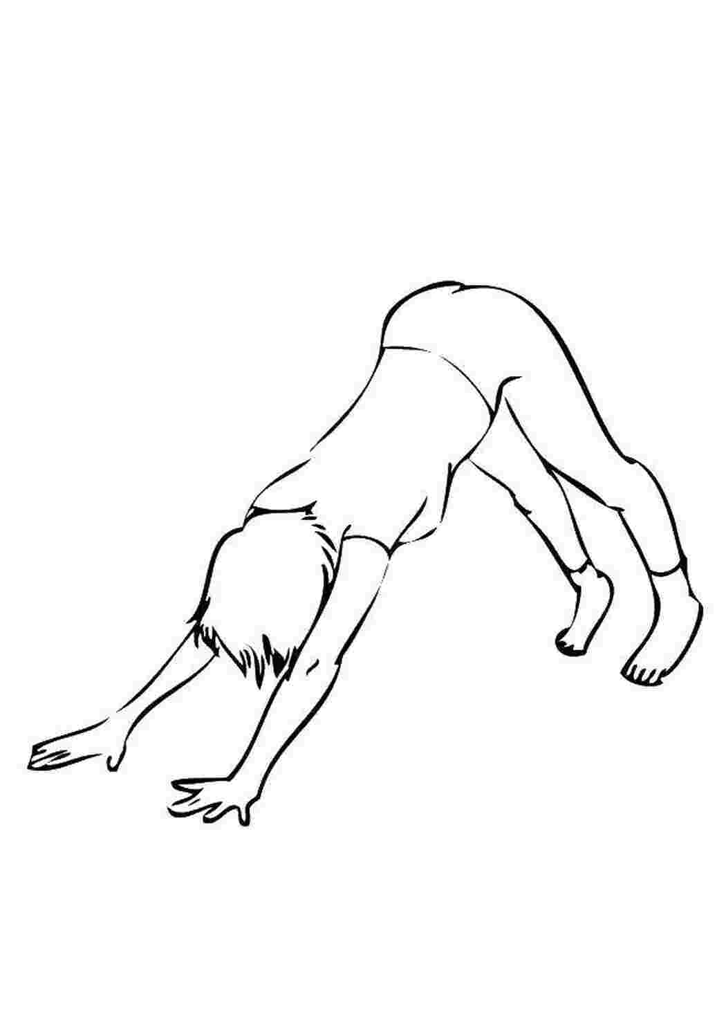 Раскраска Упражнения йоги.
