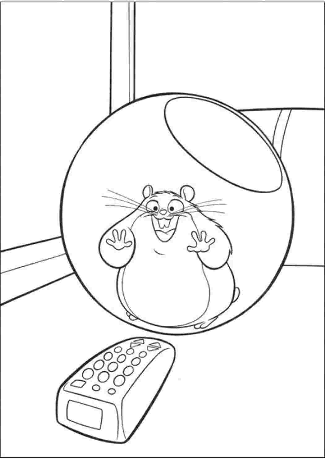 Раскраска Хомячок