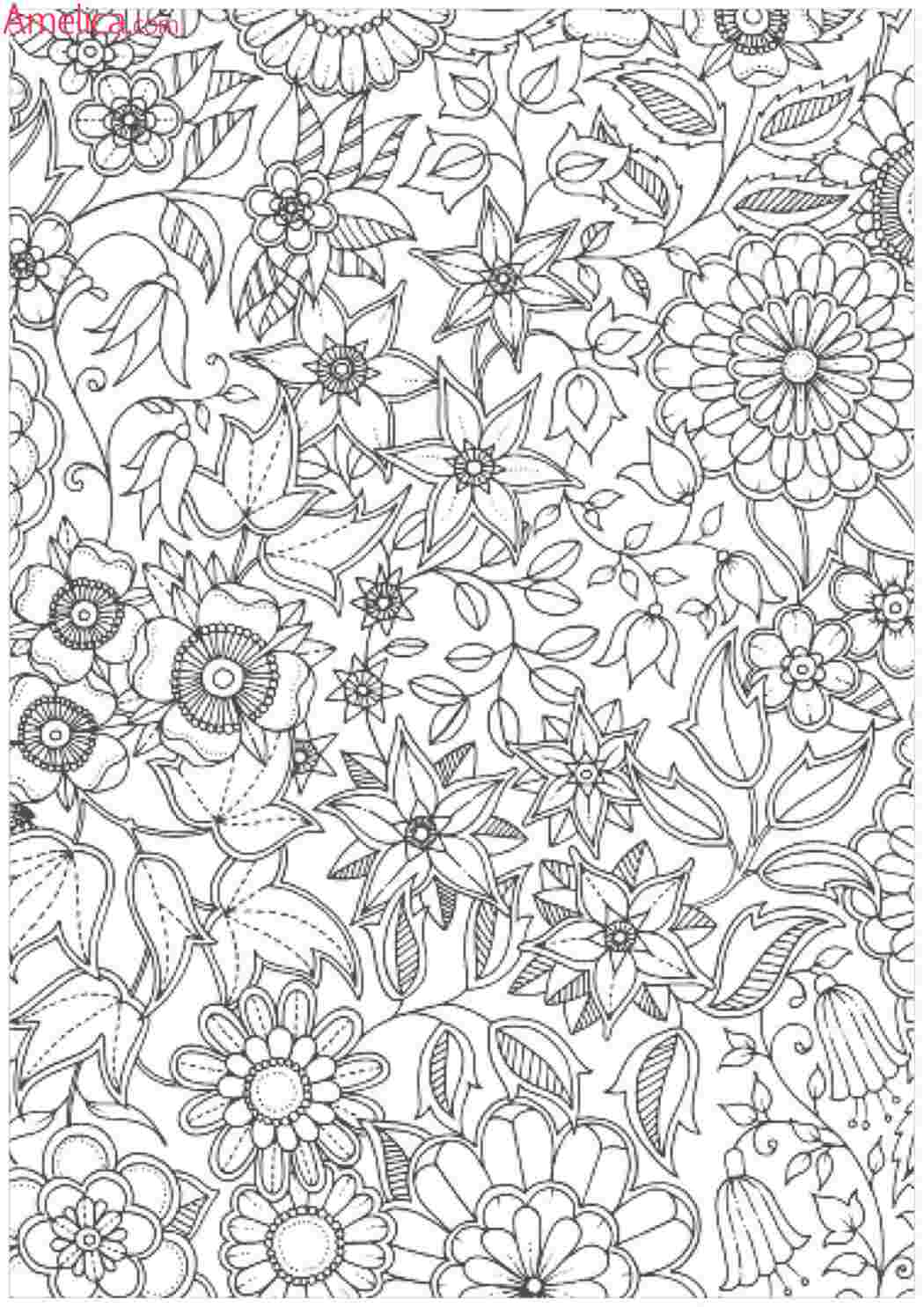 Раскраска Раскраски для взрослых. Раскраски арт-терапия. Расслабляющие раскраски.