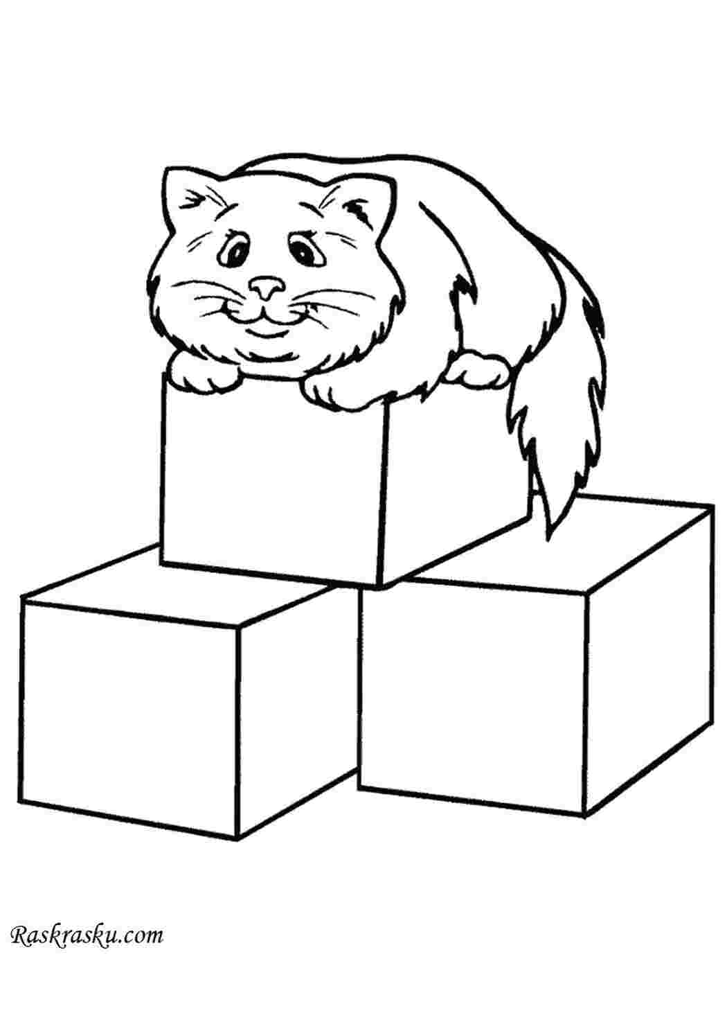 Раскраска Кошка на кубиках