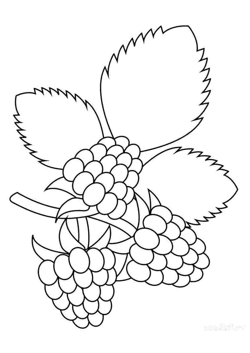 Раскраска Малинка