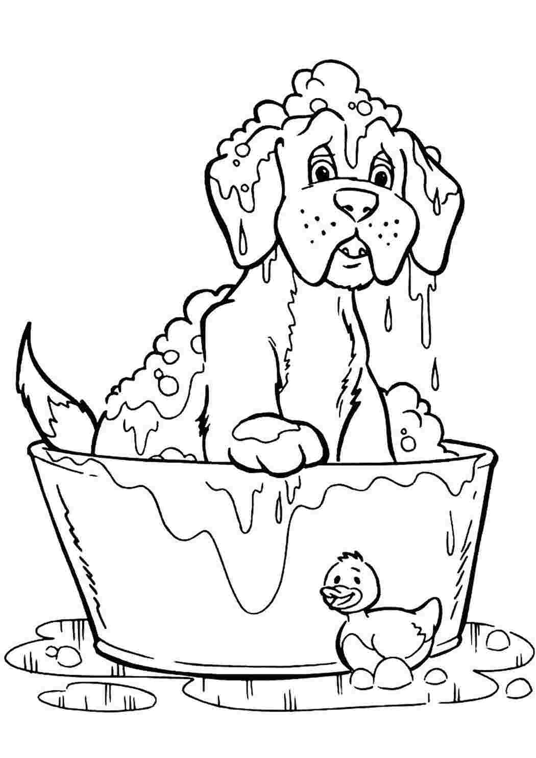 Раскраска Купание