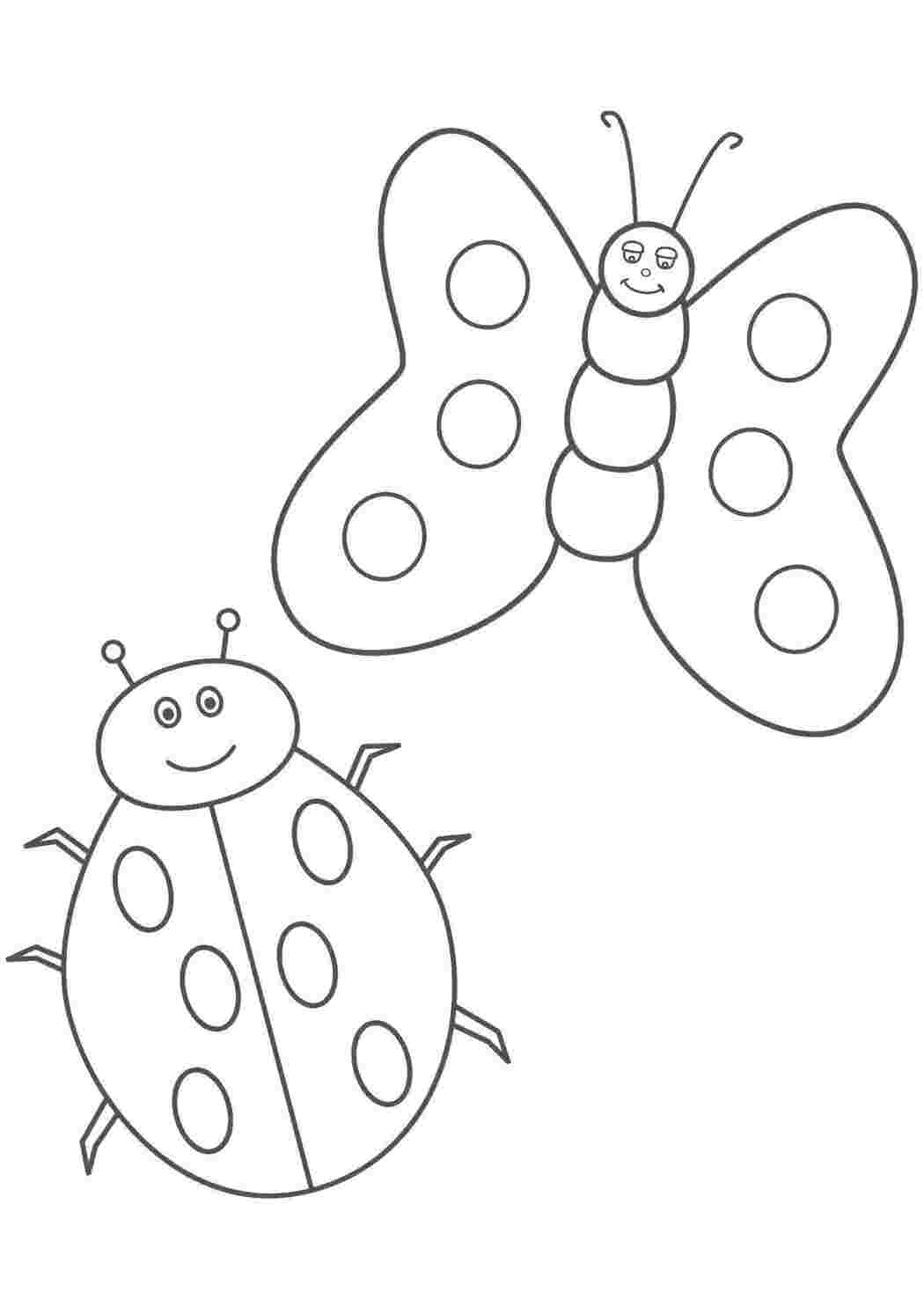 Раскраска Насекомые