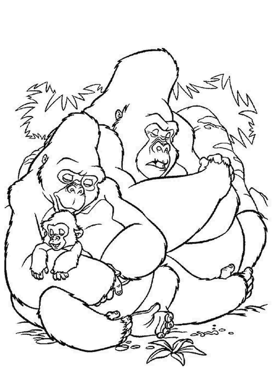 Раскраска Гориллы