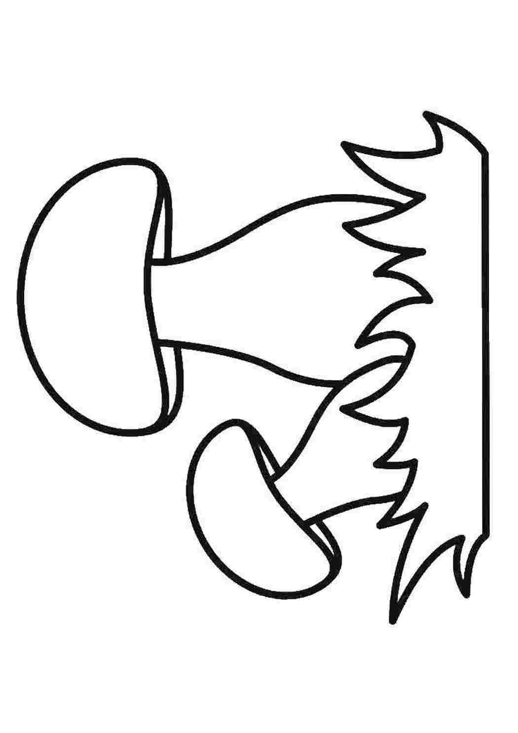 Раскраска Грибы