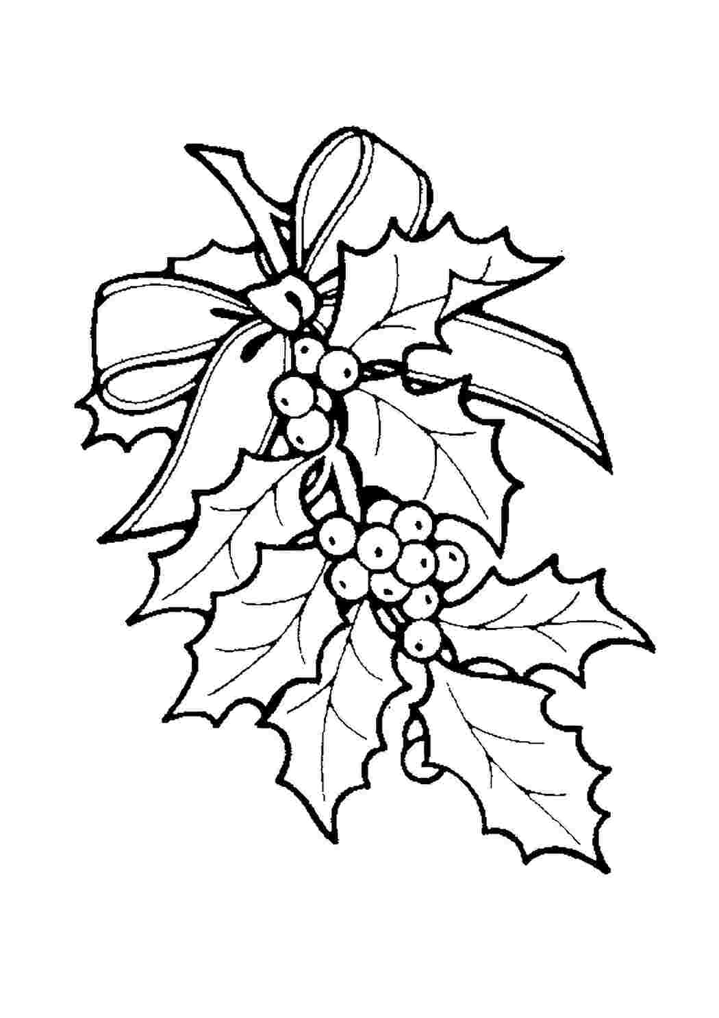 Раскраска Ягоды