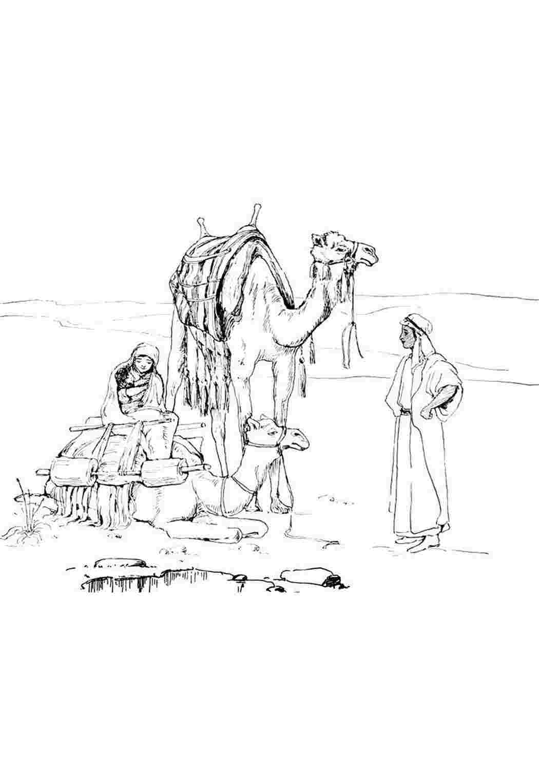 Раскраска Бидуины