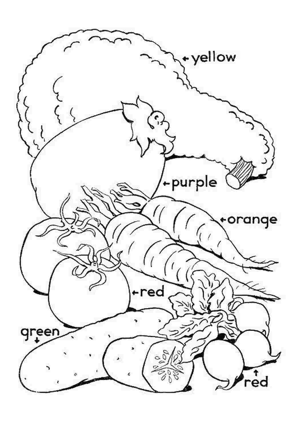 Раскраска Овощи