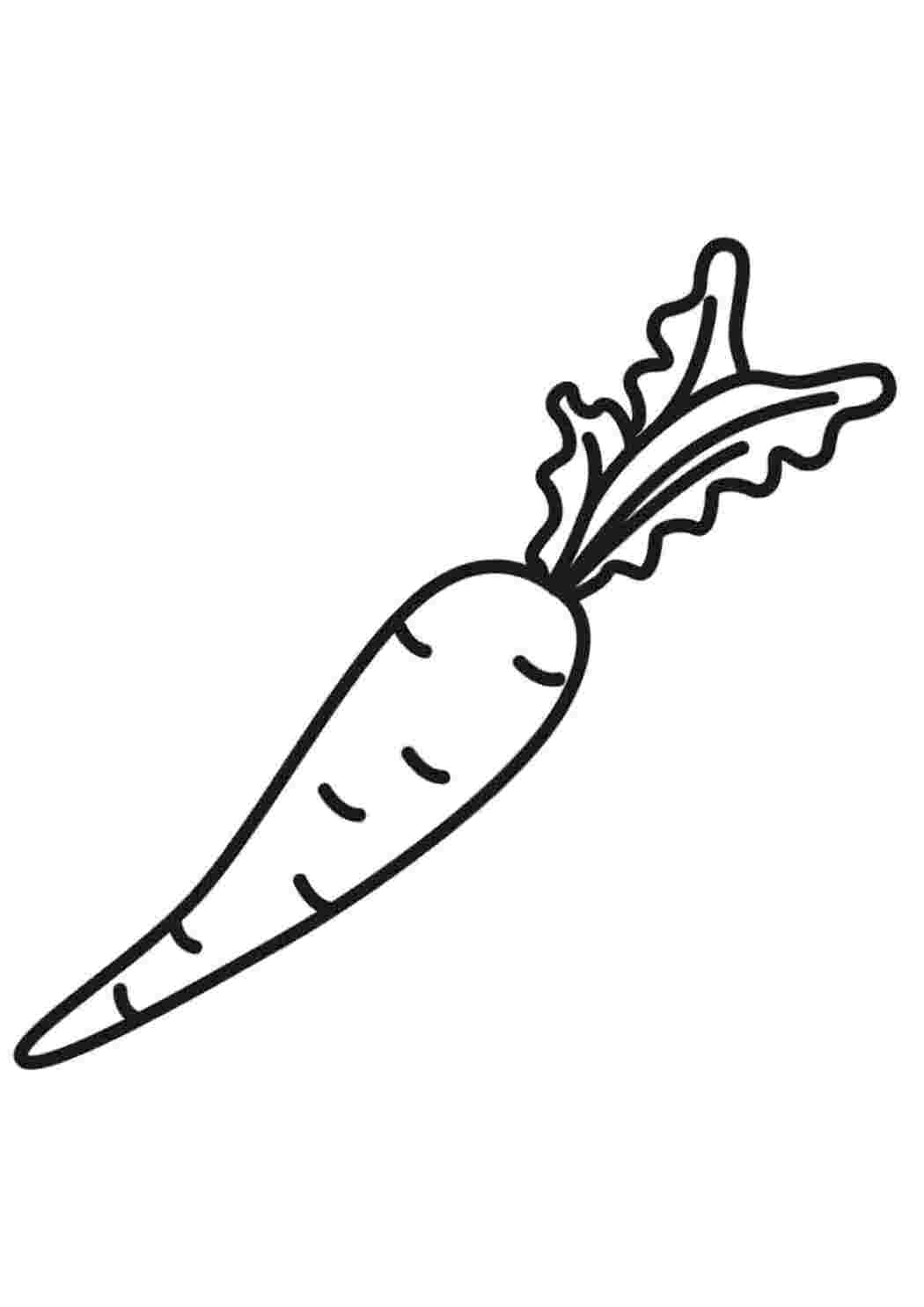 Раскраска для малышей морковка овощи