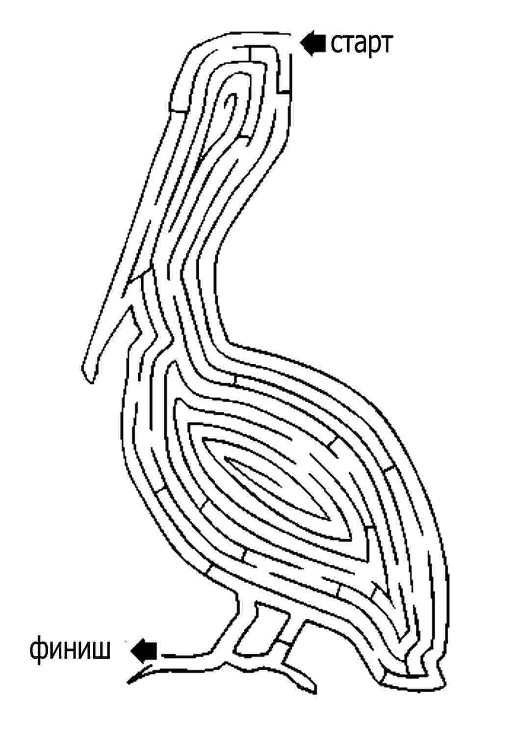 Раскраска Лабиринт