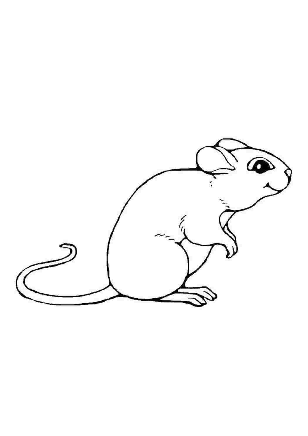 Раскраска Мышка