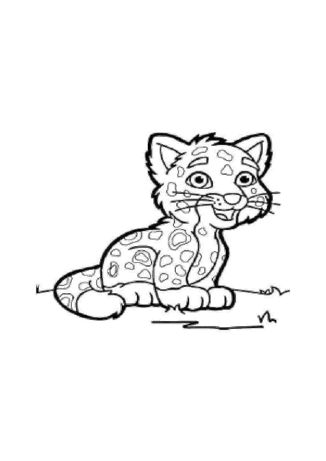 Раскраска Леопард