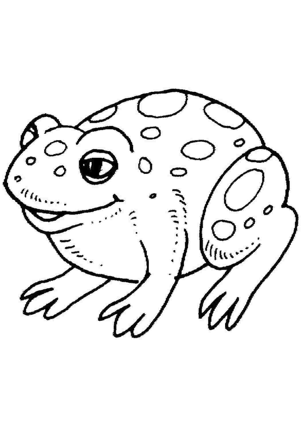 Раскраска Лягушка