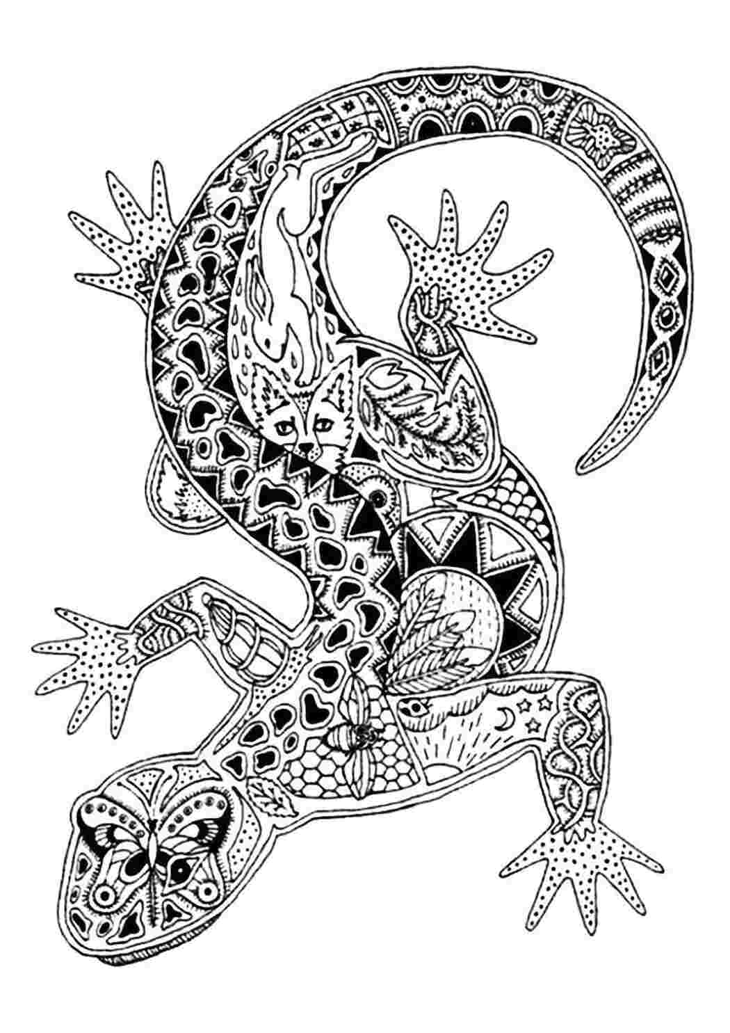 Раскраска Ящерка