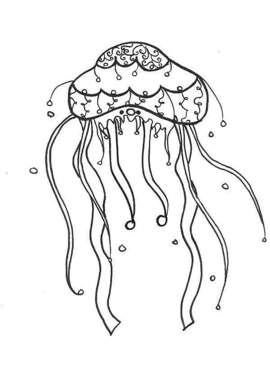 Морские медузы раскраска