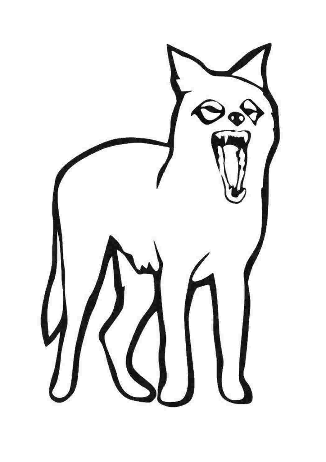 Раскраска Волк