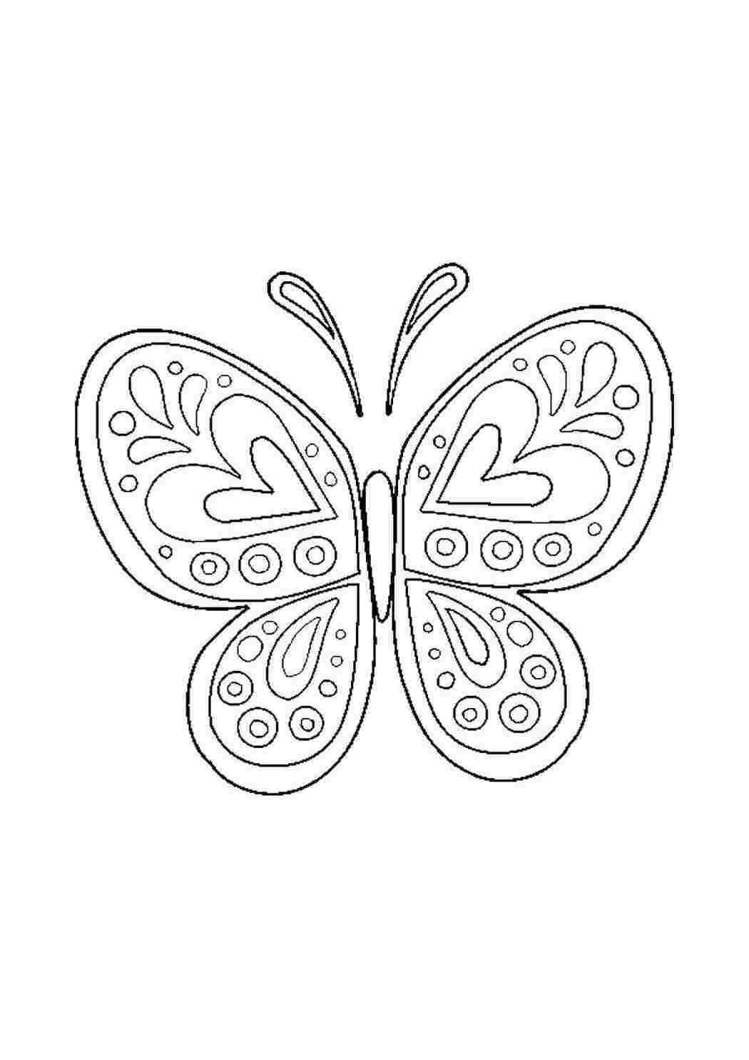 Раскраски лёгкие бабочки