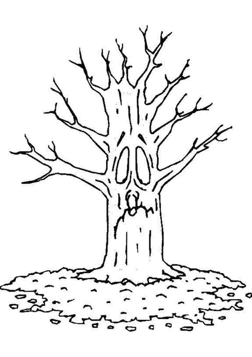 Раскраска Опавшие листья