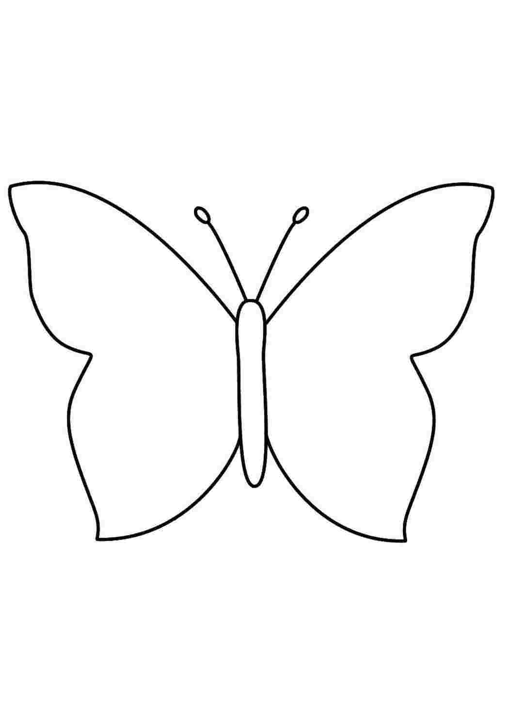 Макет бабочки для аппликации