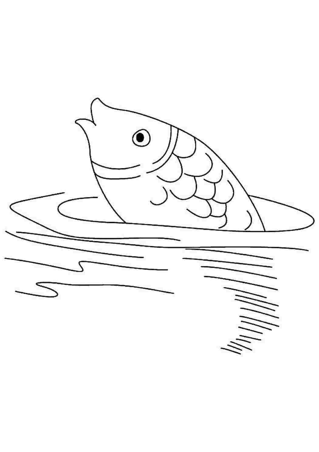 Раскраска пруд с рыбками для детей