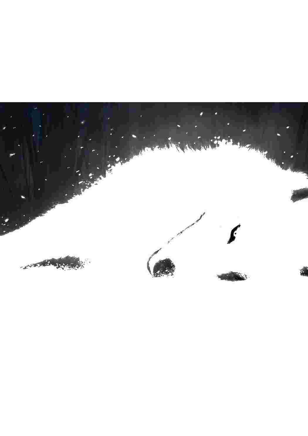 Раскраска Волк лежит