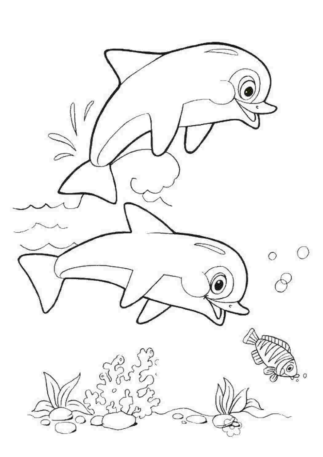 Раскраска Дельфины