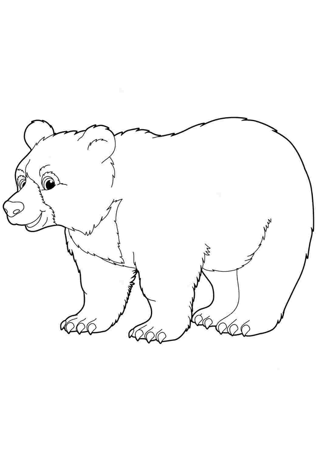 Распечатка медведя. Медведь раскраска. Медведь раскраска для детей. Бурый медведь раскраска. Белый медведь раскраска для детей.