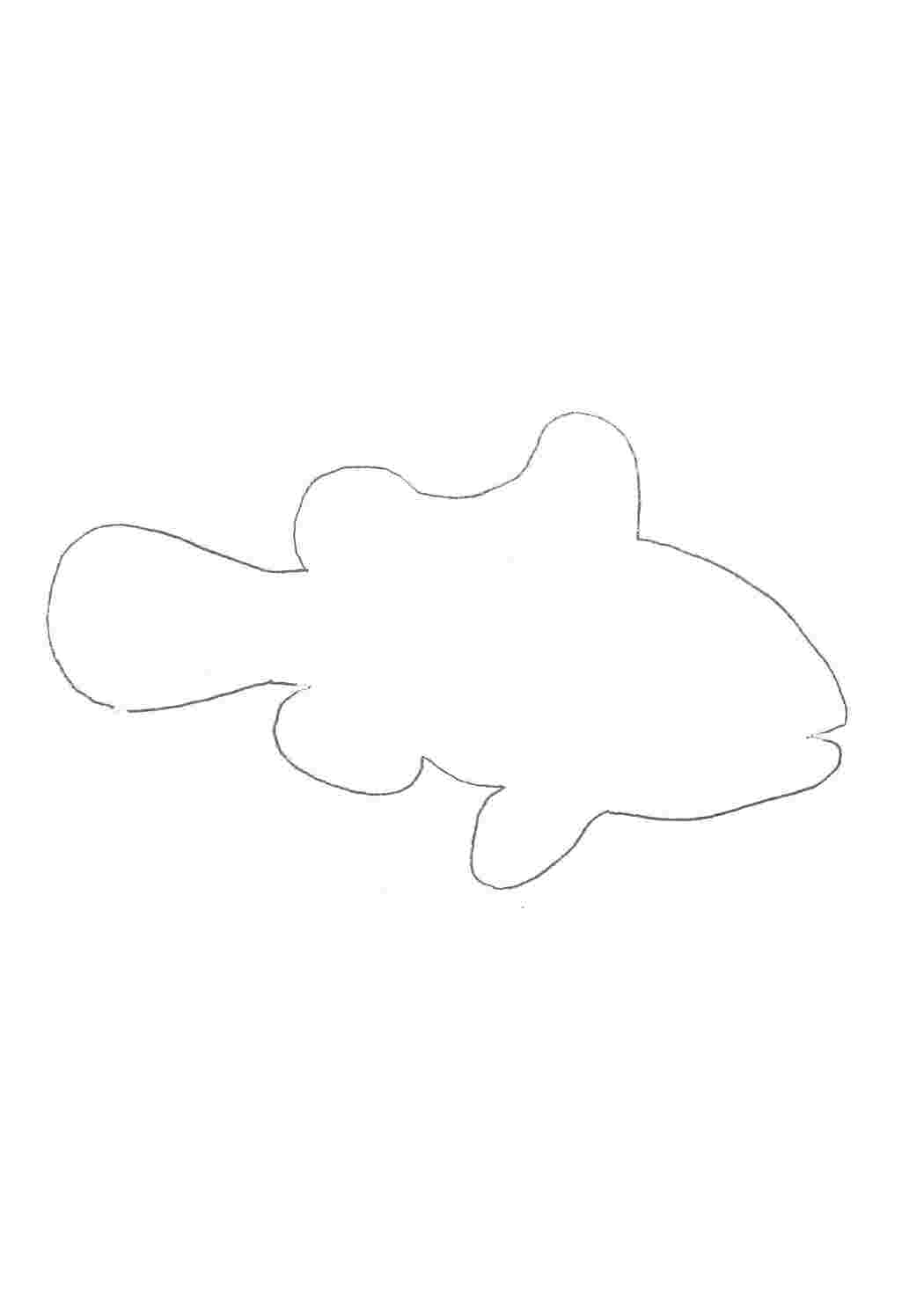 Трафарет рыбки для вырезания из бумаги шаблоны fish outline engraving Manualidades, Molde de animales, Manualidades infantiles