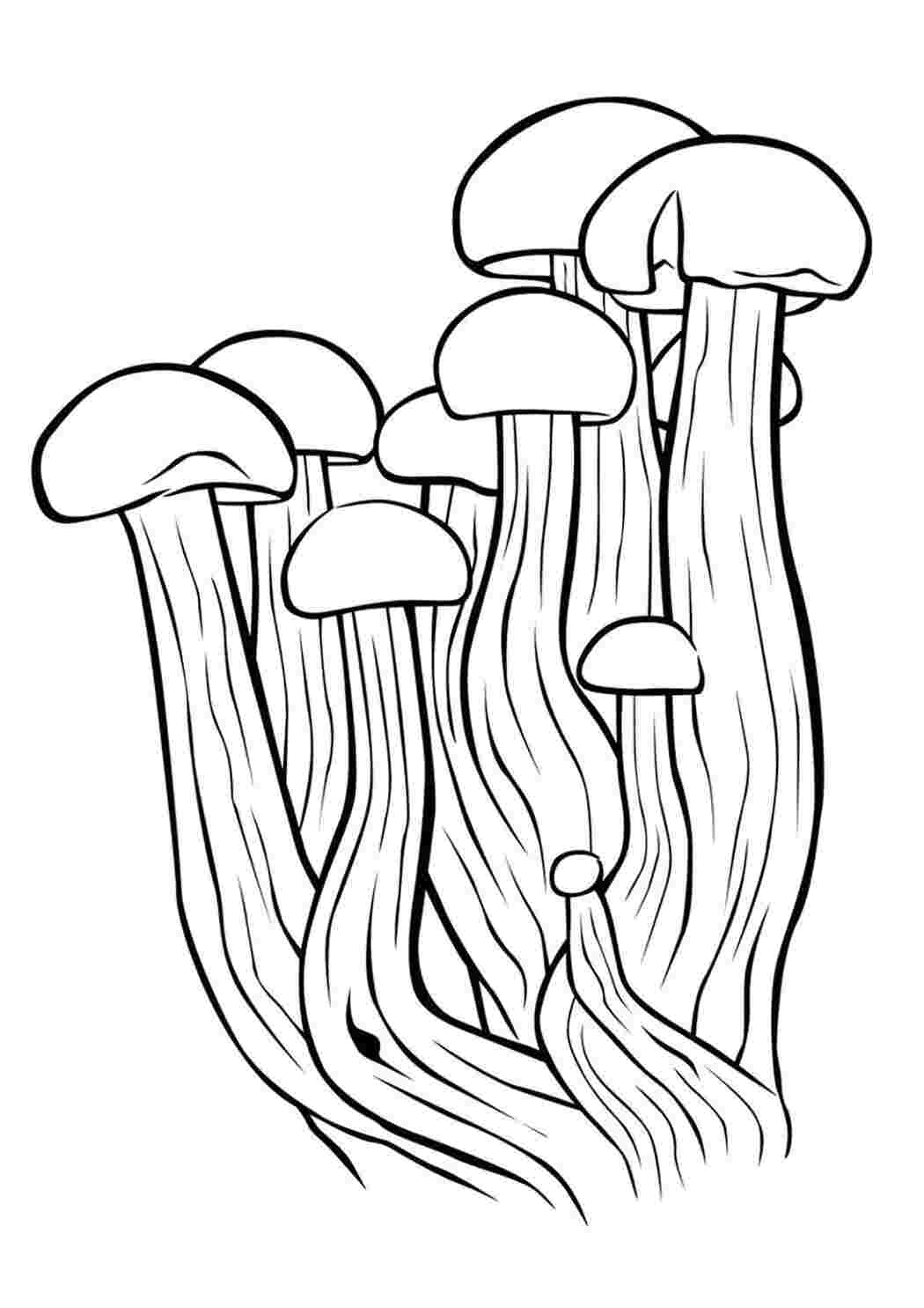 Раскраска Грибочки
