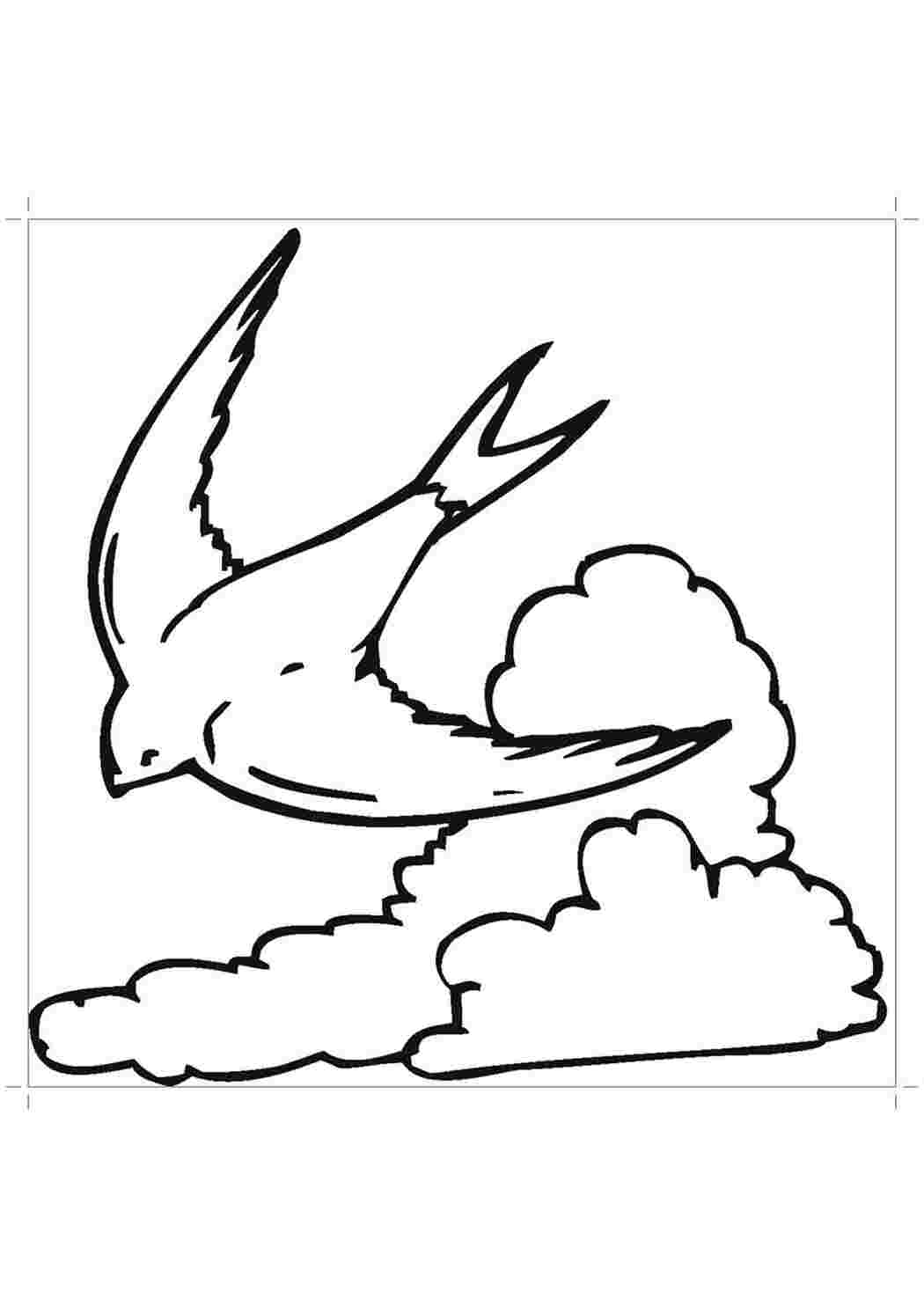 Раскраска Ласточка на небе 