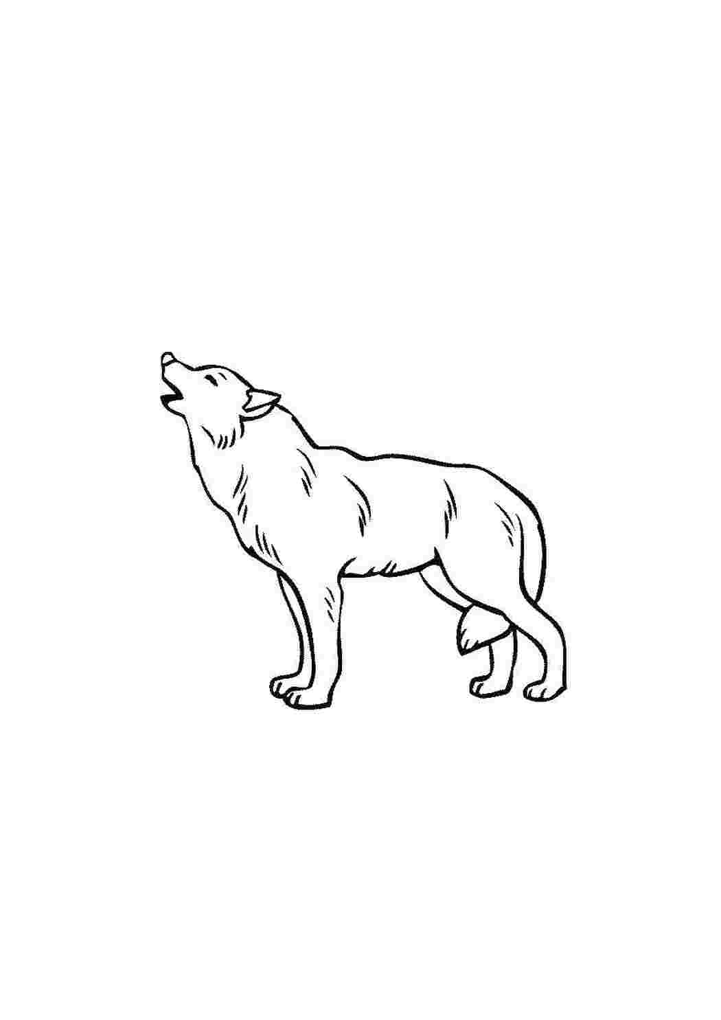 Раскраска Волк воет