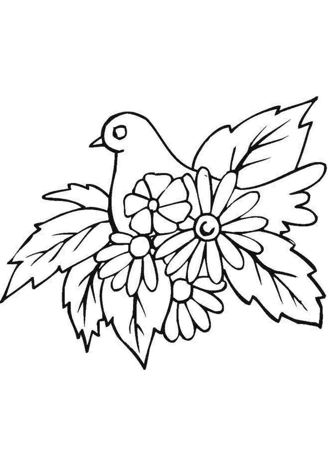 Раскраска птичка с цветочком