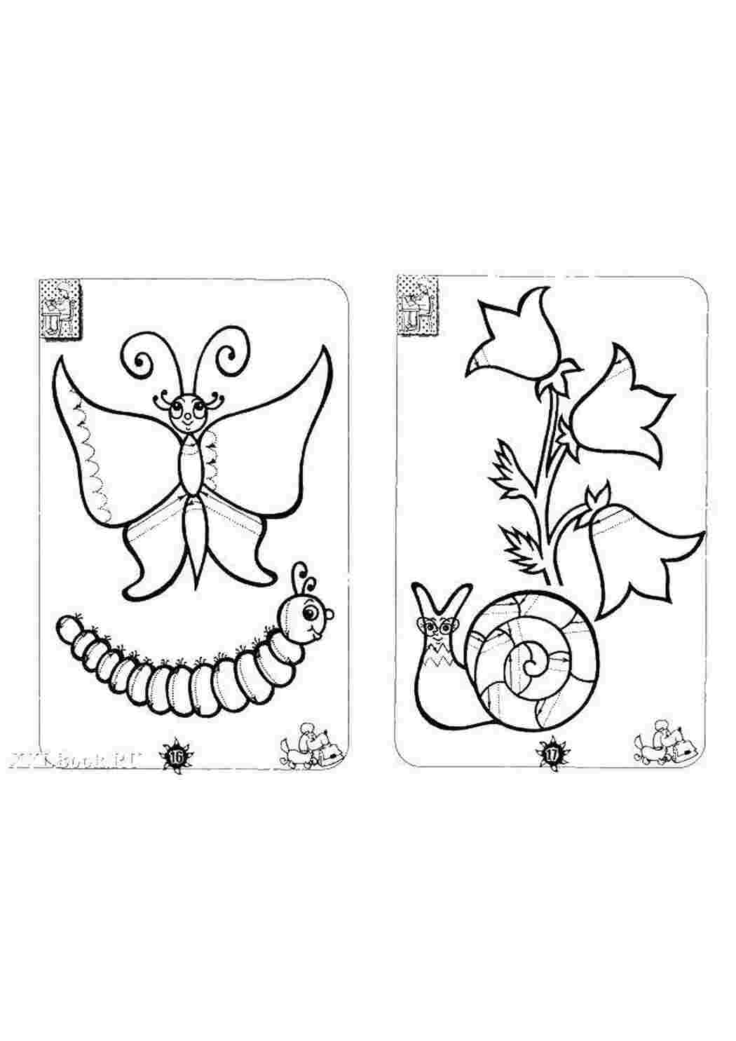 Раскраска Насекомые