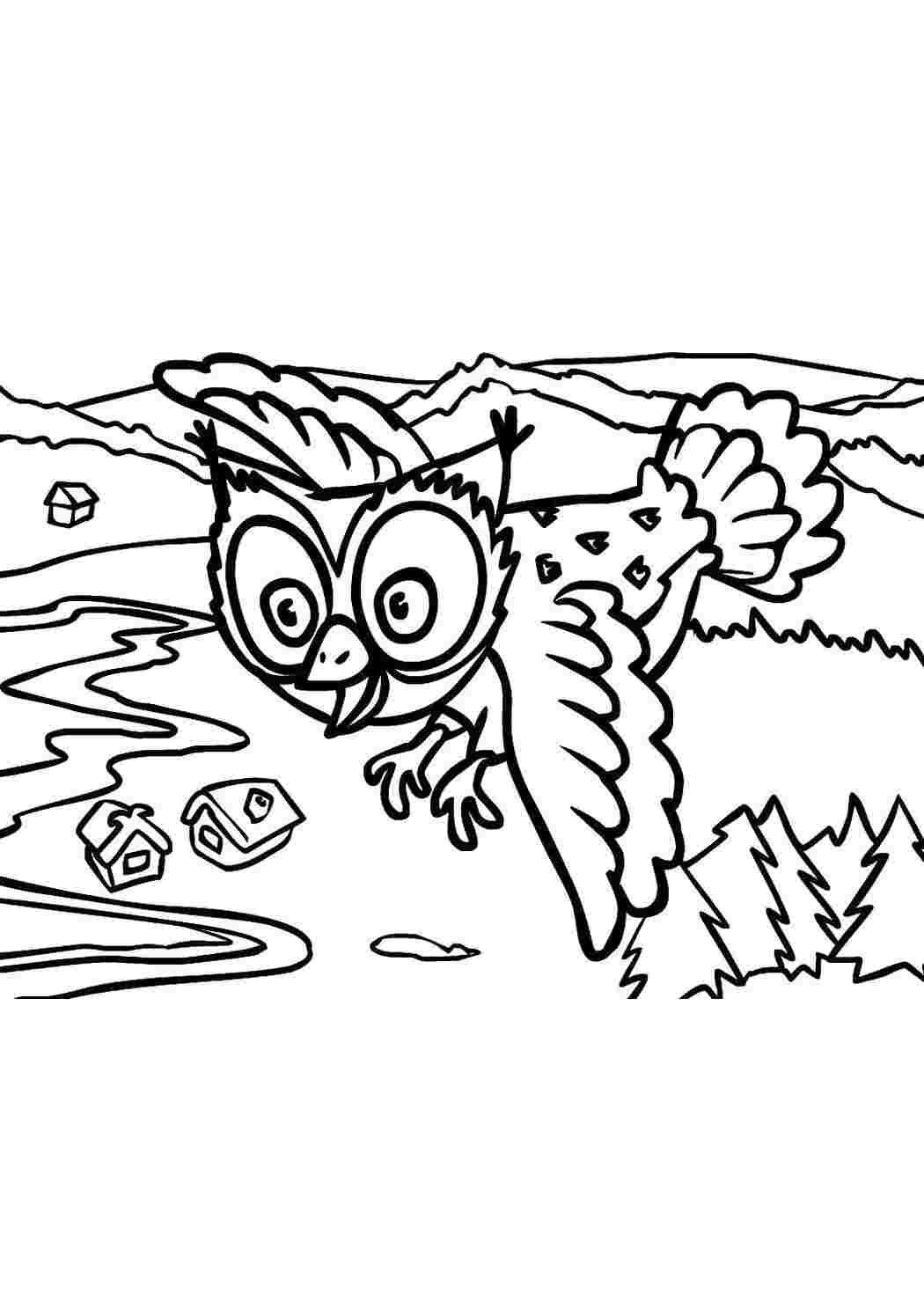Раскраска Сова