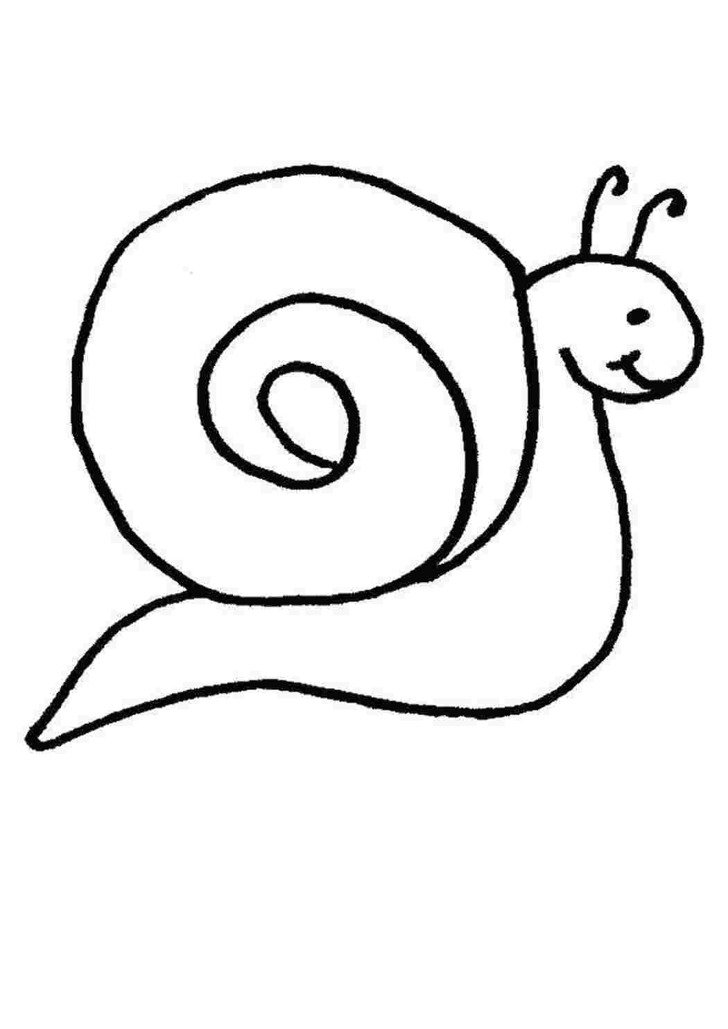 Раскраска Улитка