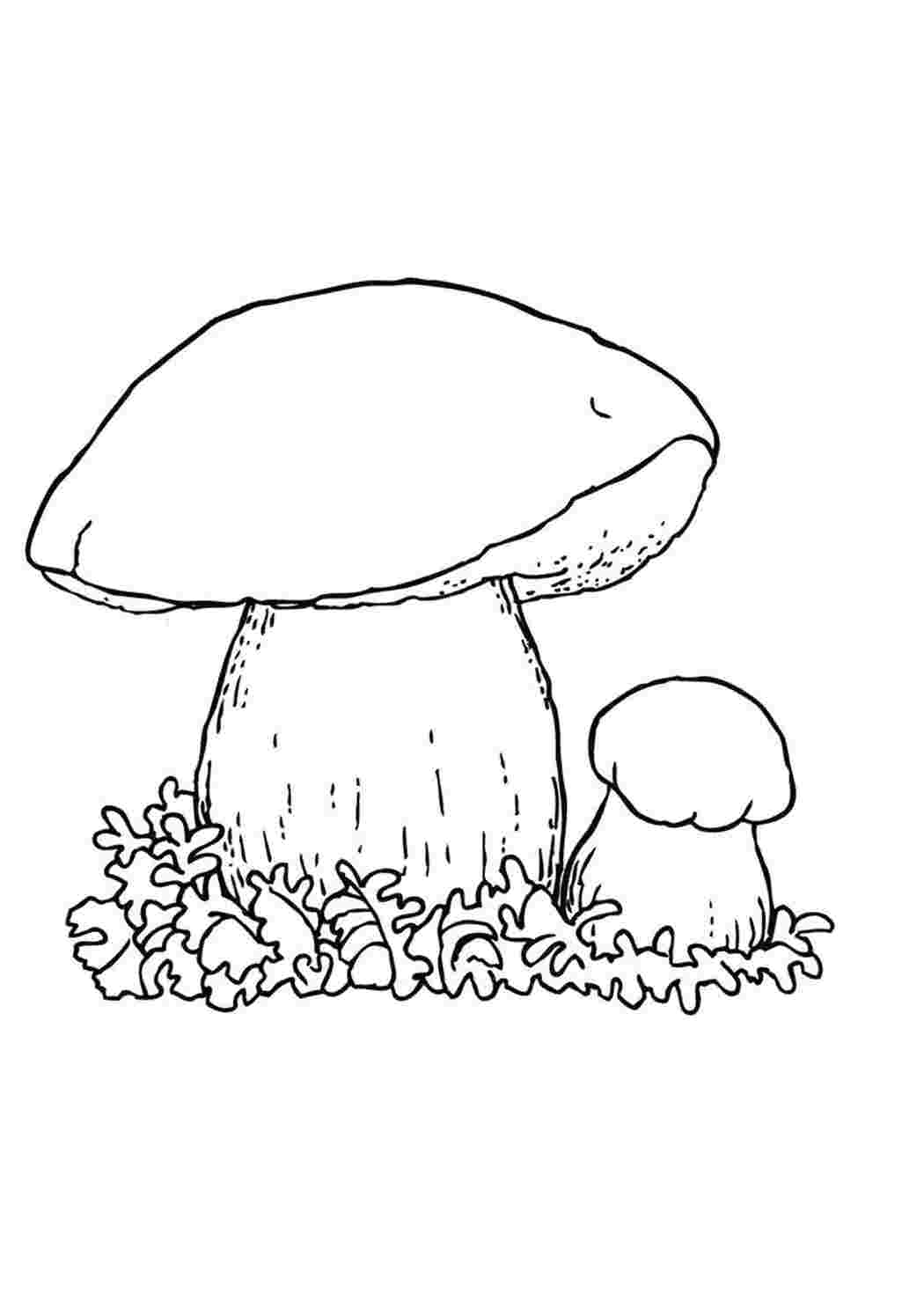 Раскраска Грибочки
